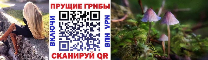 что такое наркотик  MEGA вход  Галлюциногенные грибы Cubensis  Невель 